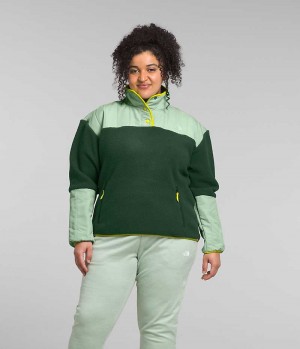 Green Women's The North Face Plus Cragmont Fleece ¼-Snap Pullover | IRELAND XQBD