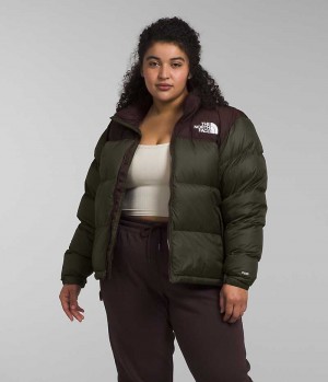 Green / Brown Women's The North Face Plus 1996 Retro Nuptse Puffer Jacket | IRELAND PMJW