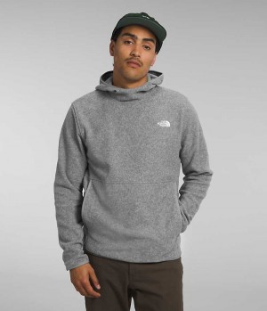 Grey Men's The North Face Alpine Polartec® 100 Pullover | DUBLIN CWAG