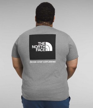 Grey Men's The North Face Big Short Sleeve Box NSE T-Shirt | IRELAND XFMV