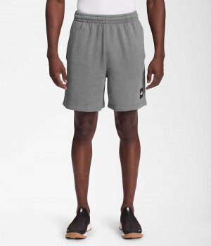 Grey Men's The North Face Box NSE Shorts | DUBLIN IKWP