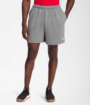 Grey Men's The North Face Simple Logo Fleece Shorts | IRELAND TVKQ