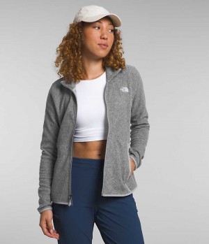 Grey Women's The North Face Alpine Polartec® 100 Fleece Jacket | DUBLIN HIZK