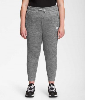 Grey Women's The North Face Plus Canyonlands Jogger | IRELAND CAEK