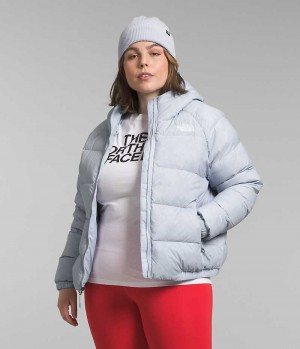 Grey Women's The North Face Plus Hydrenalite™ Hoodie Puffer Jacket | DUBLIN BITF