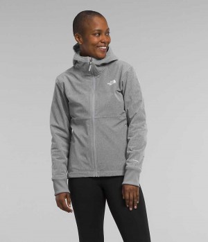 Grey Women's The North Face Shelbe Raschel Hoodie Softshell Jacket | IRELAND RTMC