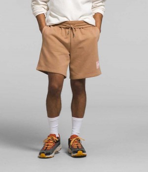 Khaki Men's The North Face Box NSE Shorts | IRELAND RWVE