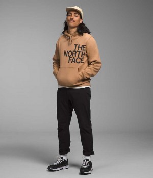 Khaki Men's The North Face Brand Proud Hoodie | DUBLIN SWZD