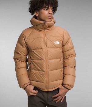 Khaki Men's The North Face Hydrenalite™ Hoodie Puffer Jacket | IRELAND UHFQ