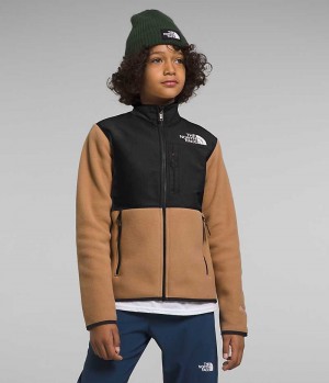 Khaki / Black Boys' The North Face Denali Fleece Jacket | IRELAND UDCQ