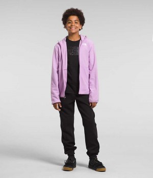 Lavender Boys' The North Face Glacier Full-Zip Hooded Fleece Jacket | IRELAND KCHD