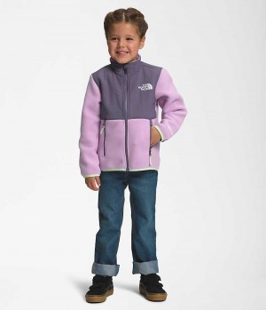 Lavender Girls'' The North Face Denali Fleece Jacket | DUBLIN NACU