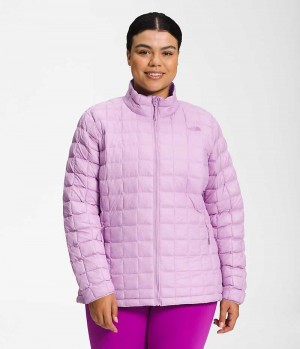 Lavender Women's The North Face Plus ThermoBall™ Eco 2.0 Puffer Jacket | IRELAND WACO