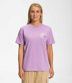 Lavender Women's The North Face Short Sleeve Brand Proud T-Shirt | IRELAND CJVP