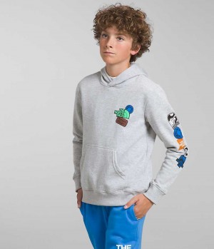 Light Grey Boys' The North Face Camp Fleece Pullover Hoodie | IRELAND FIMV