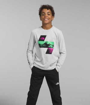 Light Grey Boys' The North Face Long Sleeve Graphic T-Shirt | DUBLIN YZFA