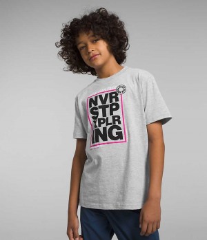 Light Grey Boys' The North Face Short Sleeve Graphic T-Shirt | IRELAND XQEI