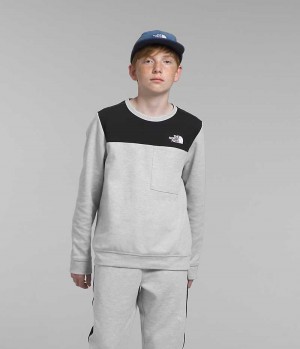 Light Grey Boys' The North Face TNF™ Tech Crew Pullover | IRELAND RKIE