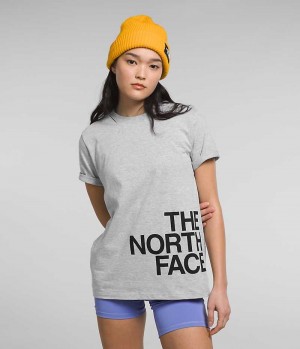 Light Grey Women's The North Face Short Sleeve Brand Proud T-Shirt | DUBLIN LEQV