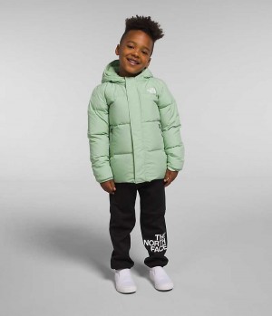 Mint Boys' The North Face North Hooded Puffer Jacket | IRELAND UWJY