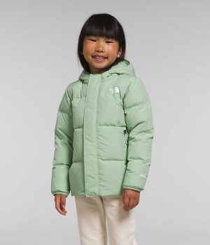 Mint Girls'' The North Face North Hooded Puffer Jacket | DUBLIN JKLD