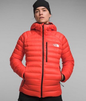 Orange Women's The North Face Summit Series Breithorn Hoodie Puffer Jacket | DUBLIN VKAX