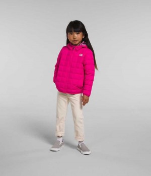 Pink Girls'' The North Face Reversible ThermoBall™ Hooded Puffer Jacket | DUBLIN YPWH