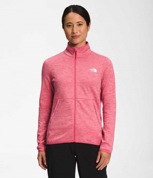 Pink Women's The North Face Canyonlands Full-Zip Fleece Jacket | IRELAND YMCR