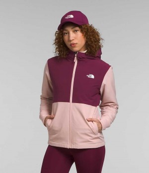 Pink Women's The North Face Shelbe Raschel Hoodie Softshell Jacket | DUBLIN NGWI