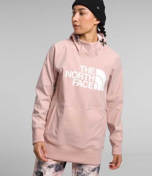 Pink Women's The North Face Tekno Pullover Hoodie | DUBLIN DHZE