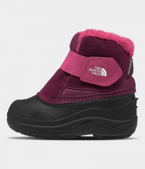 Pink / Black Boys' The North Face Alpenglow II Winter Boots | IRELAND HUWO