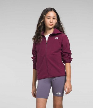 Red Girls'' The North Face Glacier Full-Zip Hooded Fleece Jacket | IRELAND BUVM