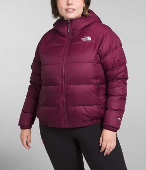 Red Women's The North Face Plus Hydrenalite™ Hoodie Puffer Jacket | DUBLIN LSPQ