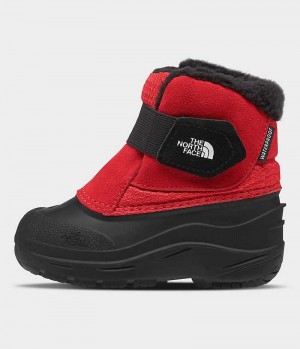 Red / Black Boys' The North Face Alpenglow II Winter Boots | DUBLIN HRDO