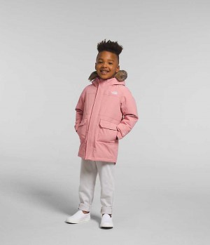 Rose Boys' The North Face Arctic Coat | IRELAND CKVH