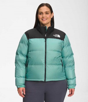 Turquoise Women's The North Face Plus 1996 Retro Nuptse Puffer Jacket | DUBLIN DCFQ