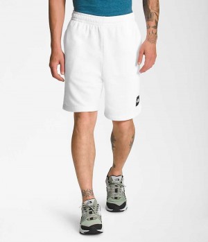 White Men's The North Face Box NSE Shorts | DUBLIN KQEL