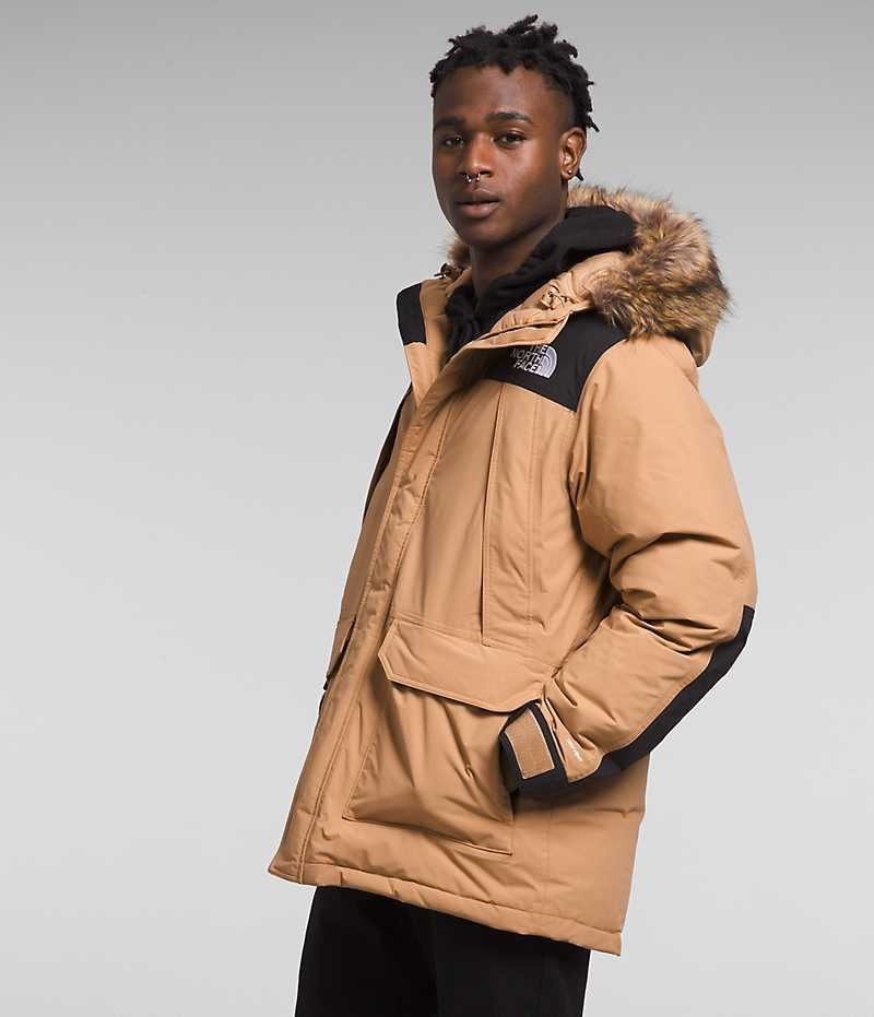 Beige Men's The North Face McMurdo Coat | DUBLIN DPVG