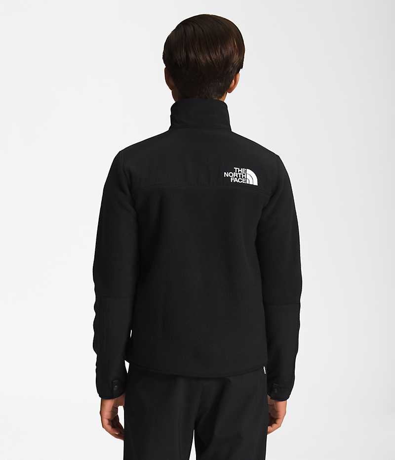 Black Boys' The North Face Denali Fleece Jacket | IRELAND UVMQ