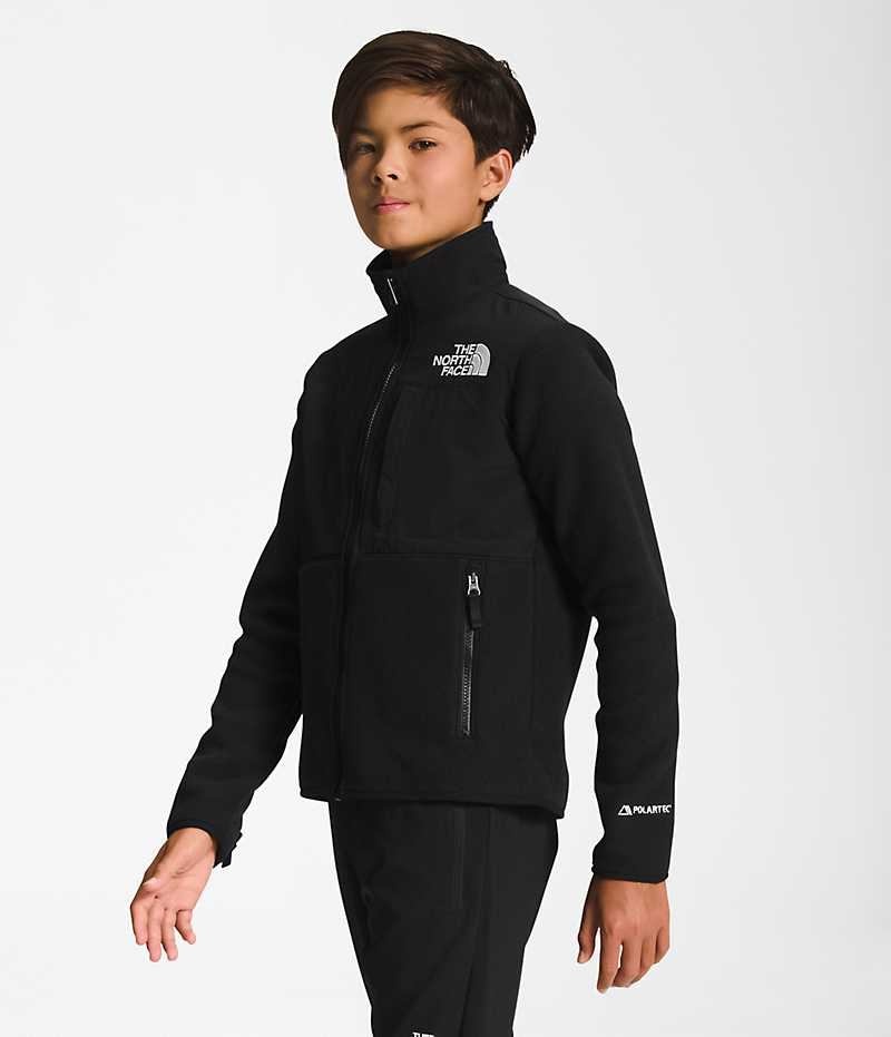 Black Boys' The North Face Denali Fleece Jacket | IRELAND UVMQ