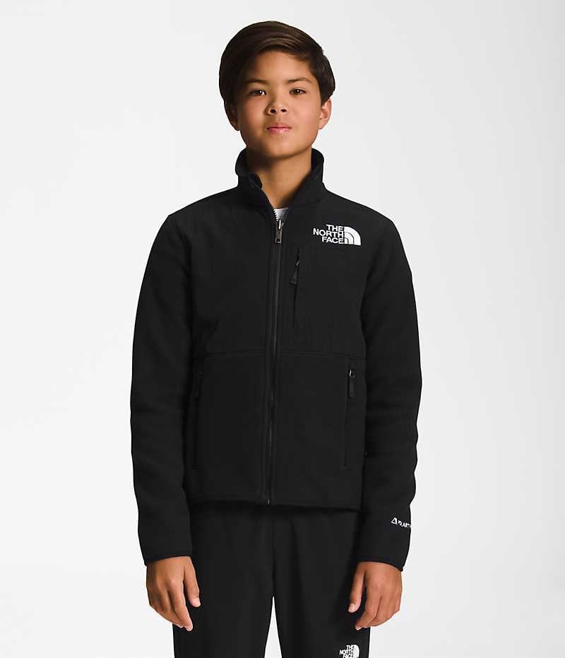 Black Boys\' The North Face Denali Fleece Jacket | IRELAND UVMQ