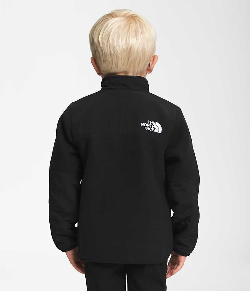 Black Boys' The North Face Denali Fleece Jacket | DUBLIN RQPI