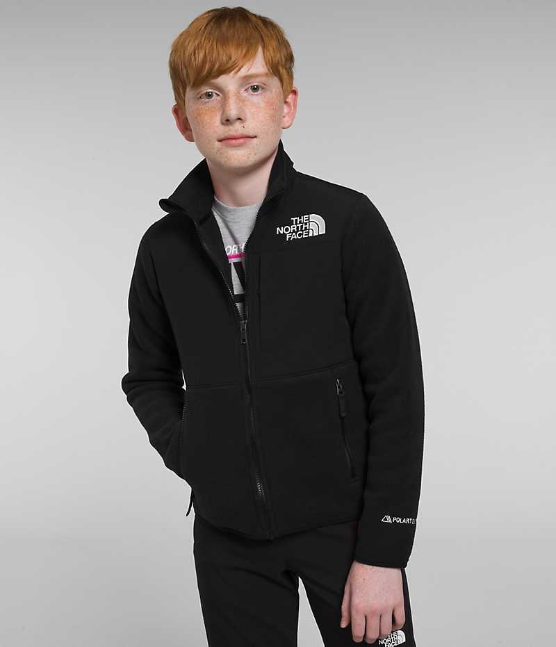 Black Boys\' The North Face Denali Fleece Jacket | IRELAND YEFL