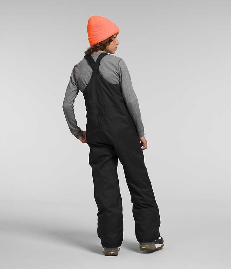 Black Boys' The North Face Freedom Insulated Bib Pants | DUBLIN GYTW