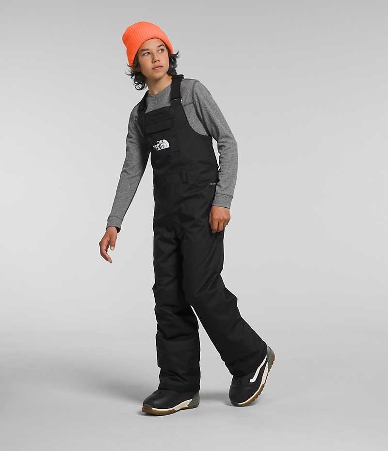 Black Boys' The North Face Freedom Insulated Bib Pants | DUBLIN GYTW