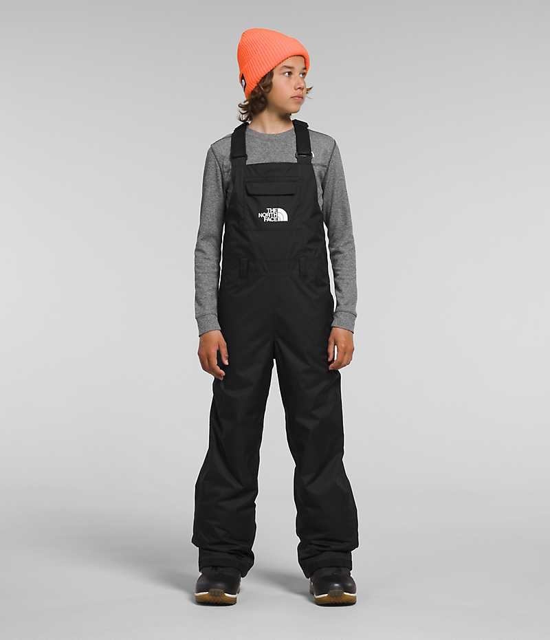 Black Boys\' The North Face Freedom Insulated Bib Pants | DUBLIN GYTW