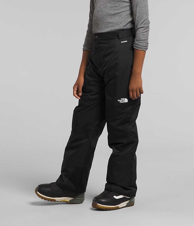 Black Boys' The North Face Freedom Insulated Pants | IRELAND ZMER