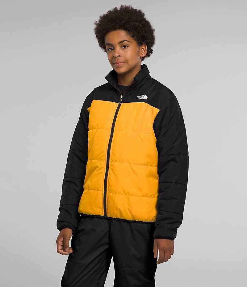 Black Boys' The North Face Freedom Triclimate® Insulated Jacket | IRELAND OTMQ