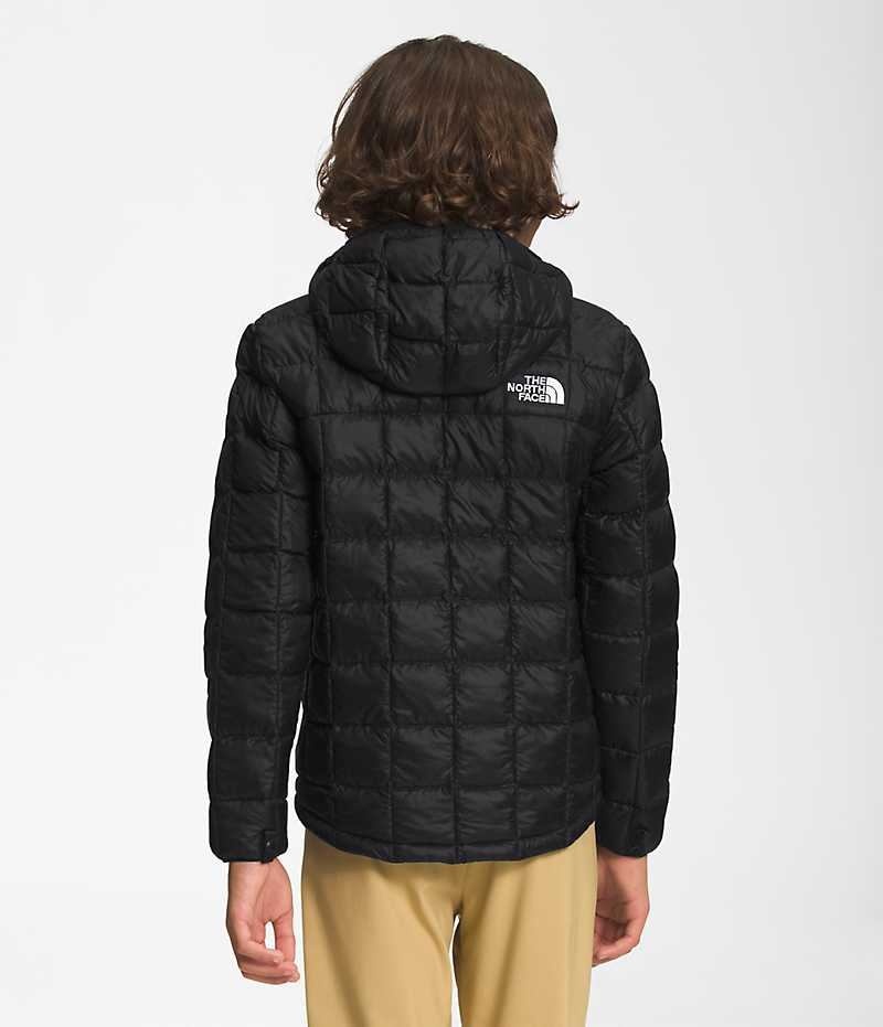 Black Boys' The North Face ThermoBall™ Hooded Puffer Jacket | IRELAND PFYS