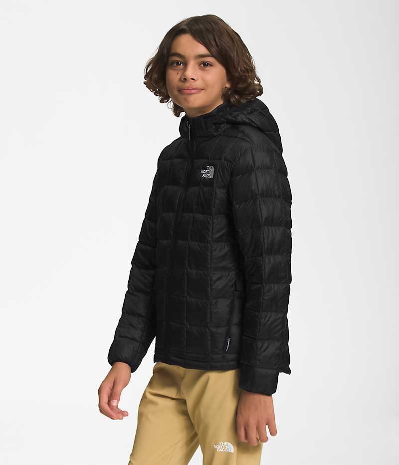 Black Boys' The North Face ThermoBall™ Hooded Puffer Jacket | IRELAND PFYS